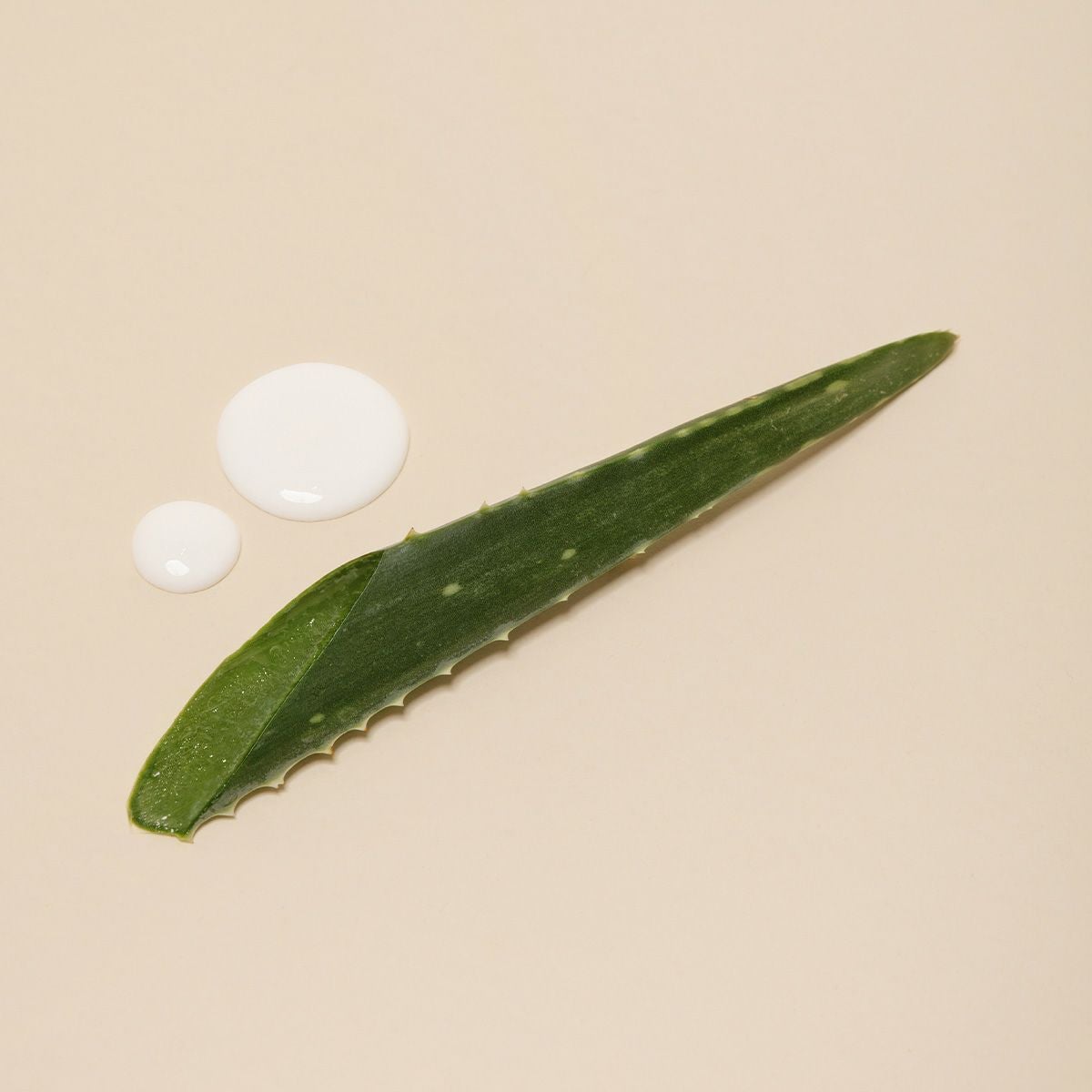 【NO WASTE SALE 10％OFF】アンブリオリス モイスチャーミルク プラス / 400mL